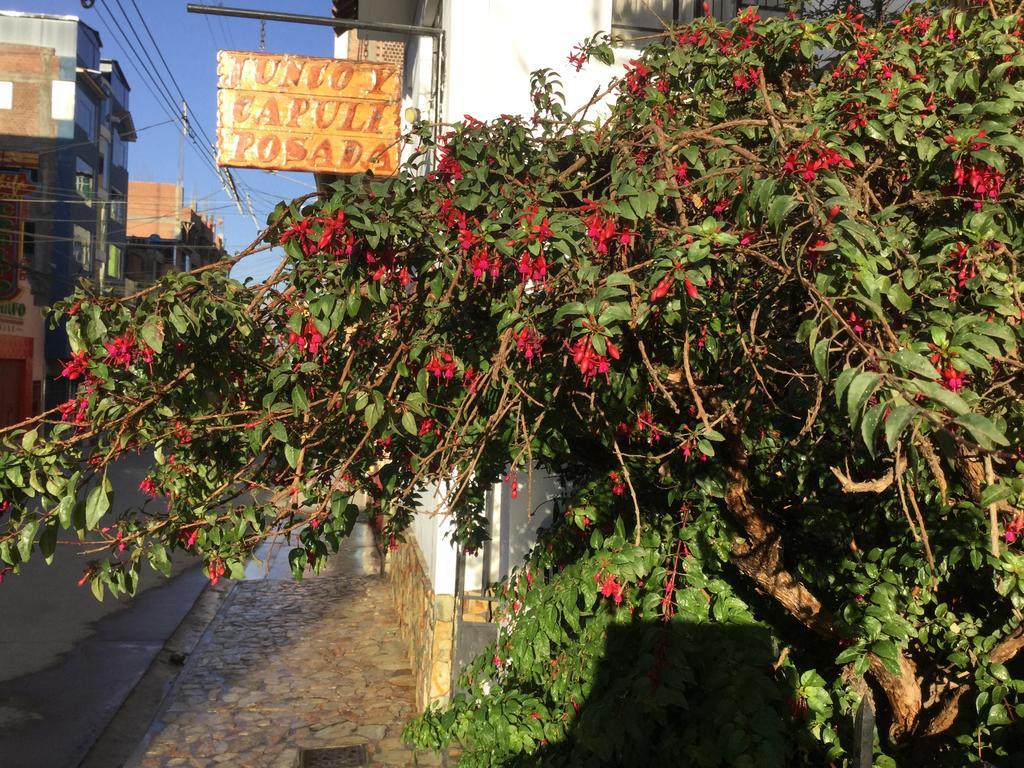 Posada Junco Y Capuli Huancayo Eksteriør billede